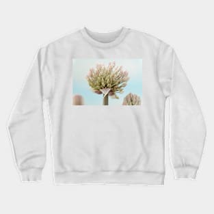 Allium karataviense   AGM  Kara Tau garlic Crewneck Sweatshirt